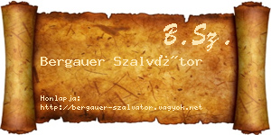 Bergauer Szalvátor névjegykártya